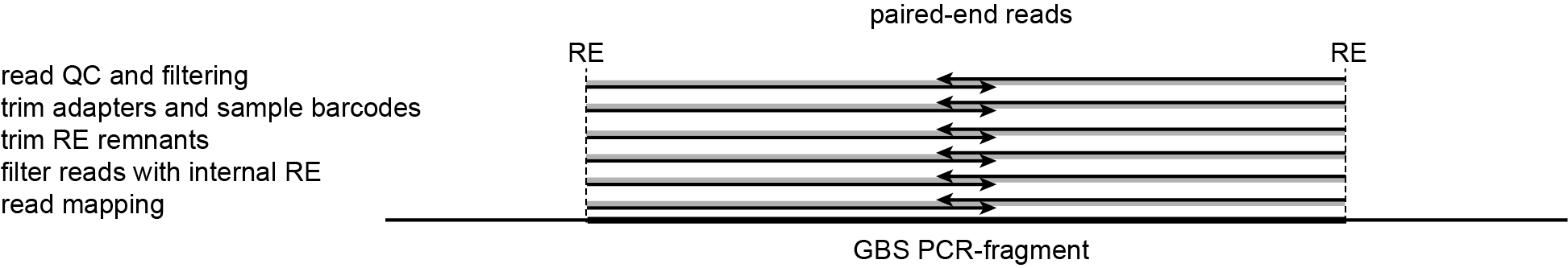../../../_images/A_GBS-PE.png