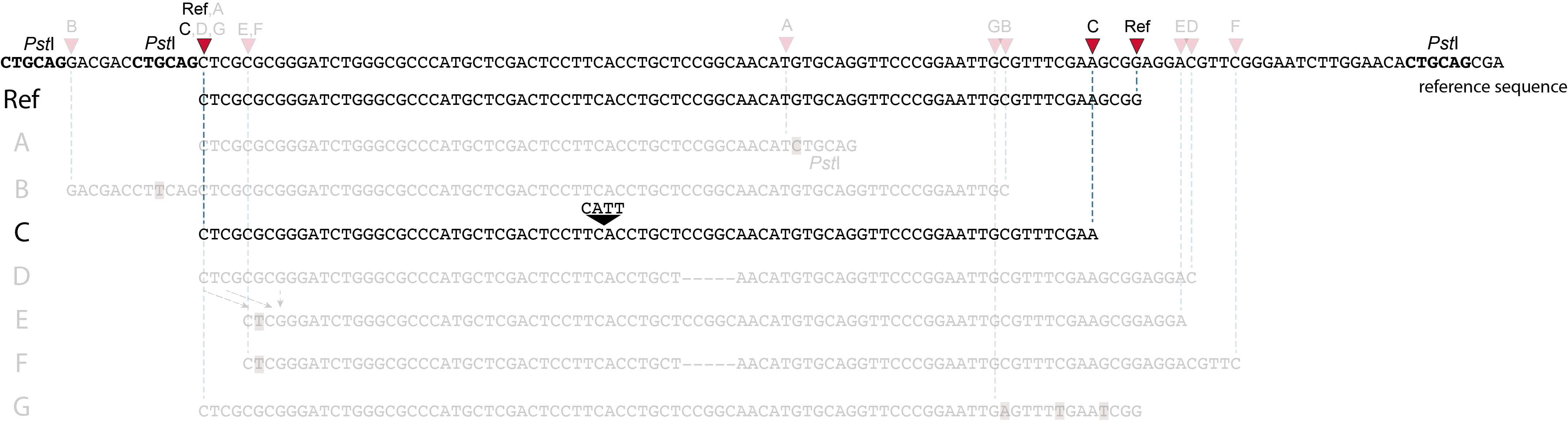 Smap File Feature Description — SMAP 2.3.0 documentation