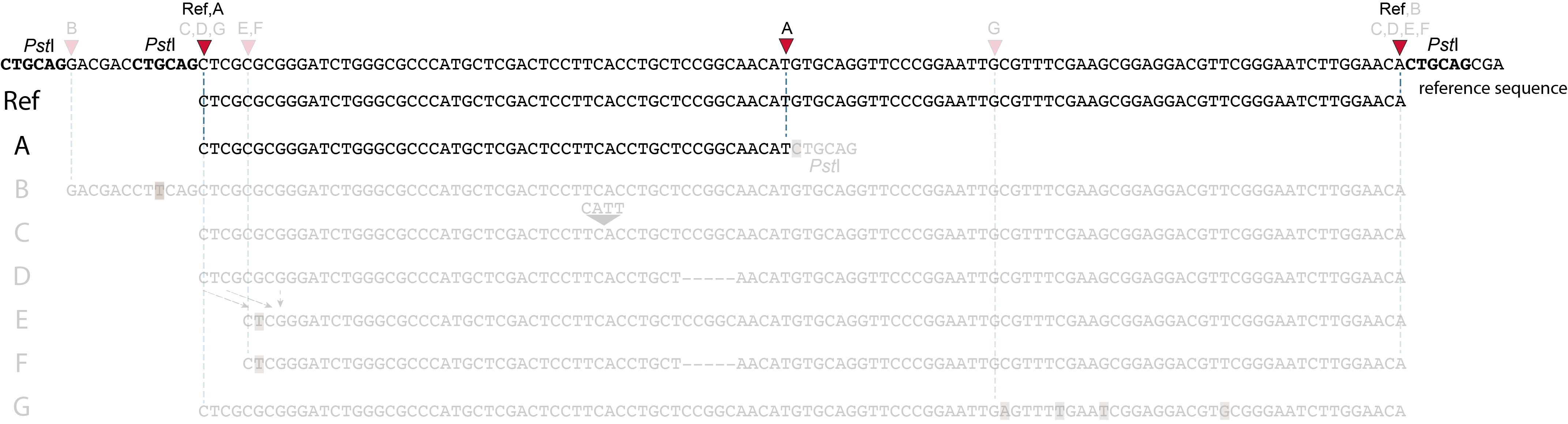 Smap File Feature Description — SMAP 2.3.0 documentation