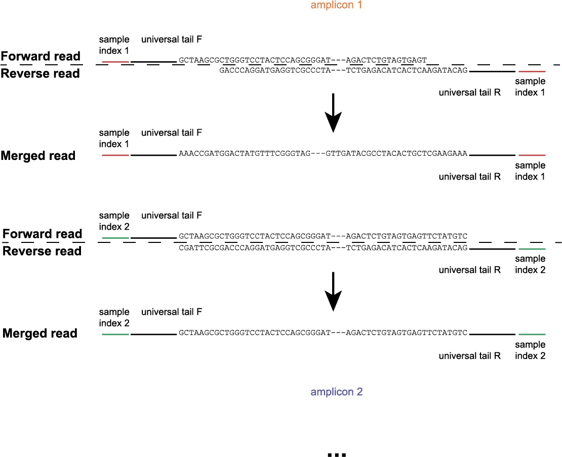 ../../../_images/SMAP_window_crispr_6.png