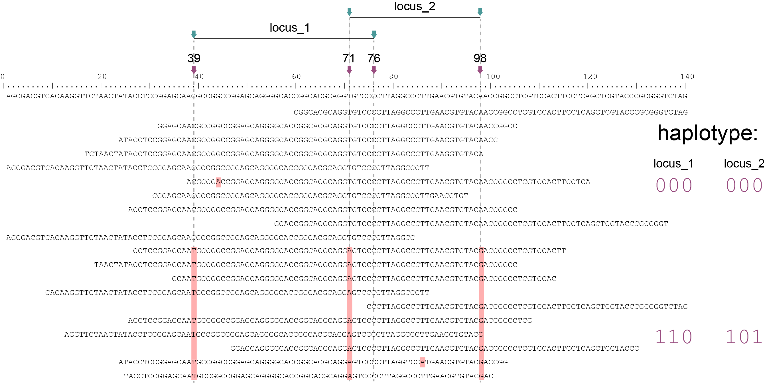 ../../../_images/Sample1_haplo_Shotgun_SNP_overlappingFrames.png