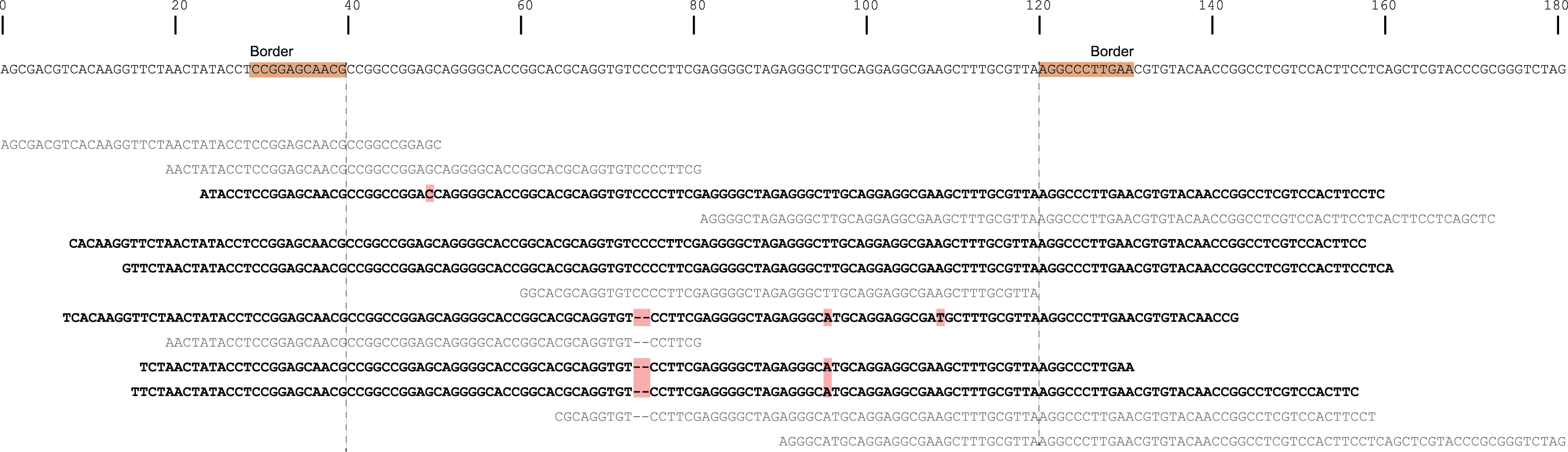 ../../../_images/Sample1_window_bam_SS.png