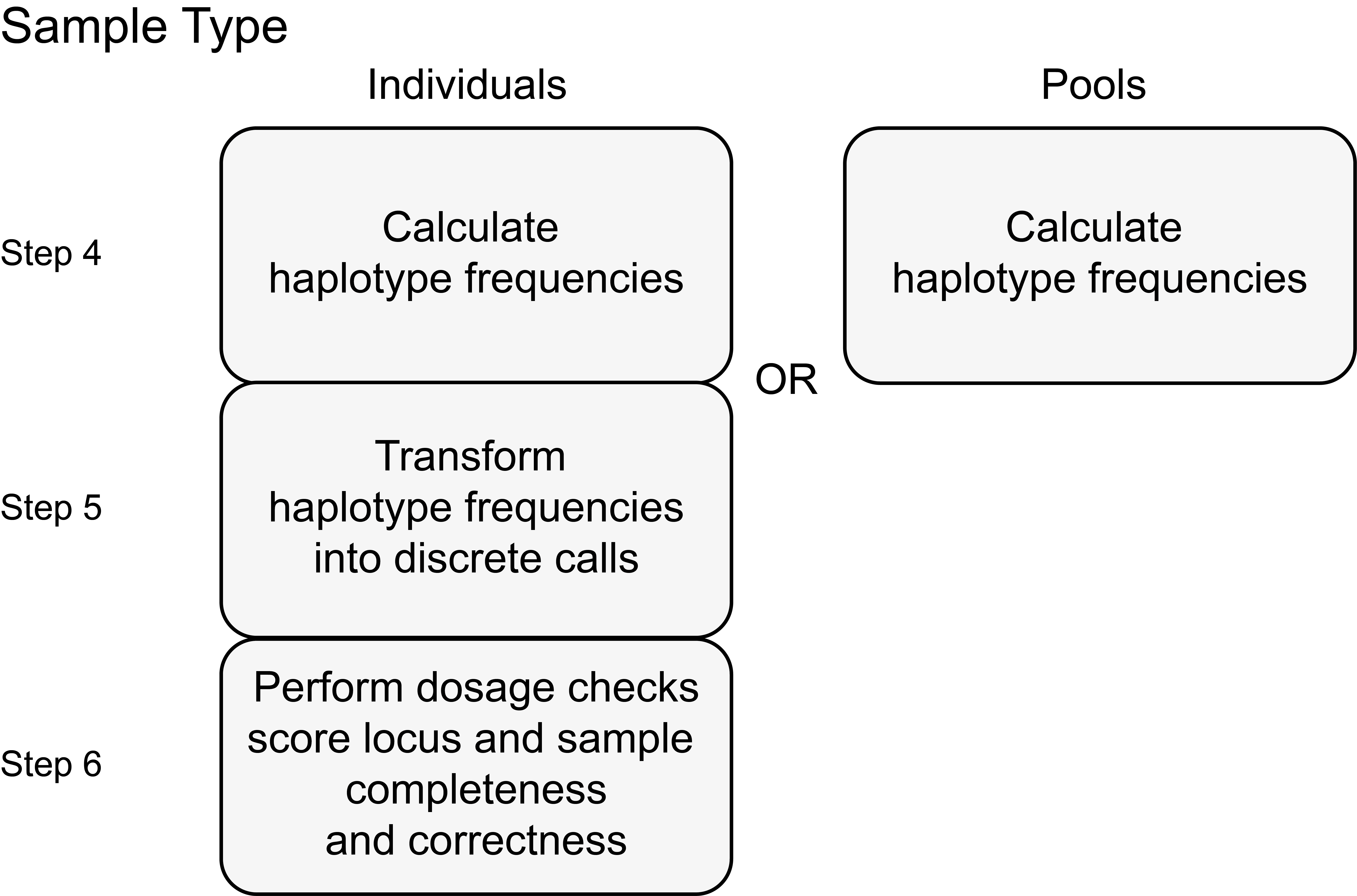 ../../../_images/haplotype_step_scheme_4-6.png