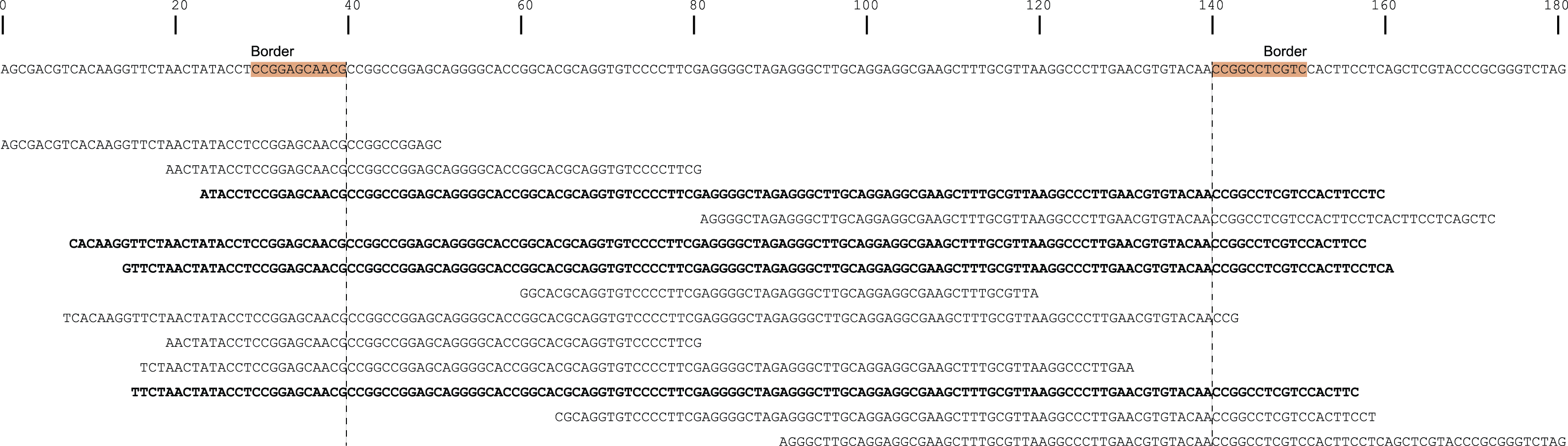 ../../../_images/haplotype_window_shotgun_window_size_100.png