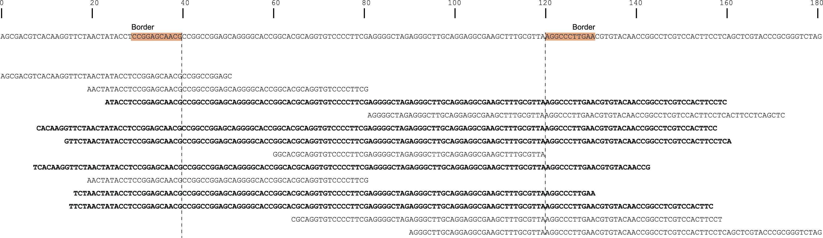 ../../../_images/haplotype_window_shotgun_window_size_80.png