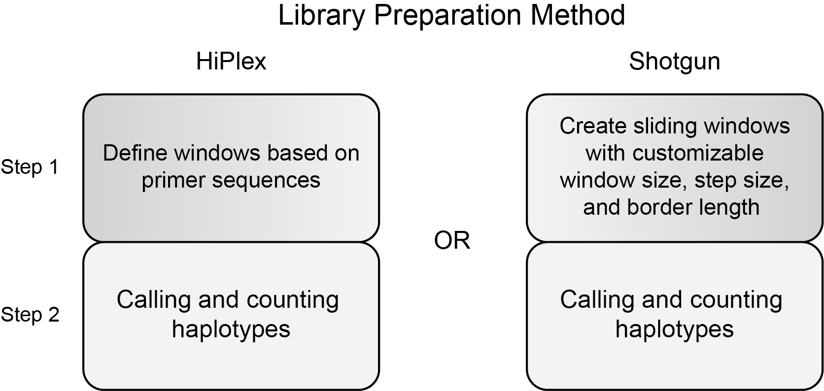 ../../../_images/haplotype_window_step_scheme_12.png