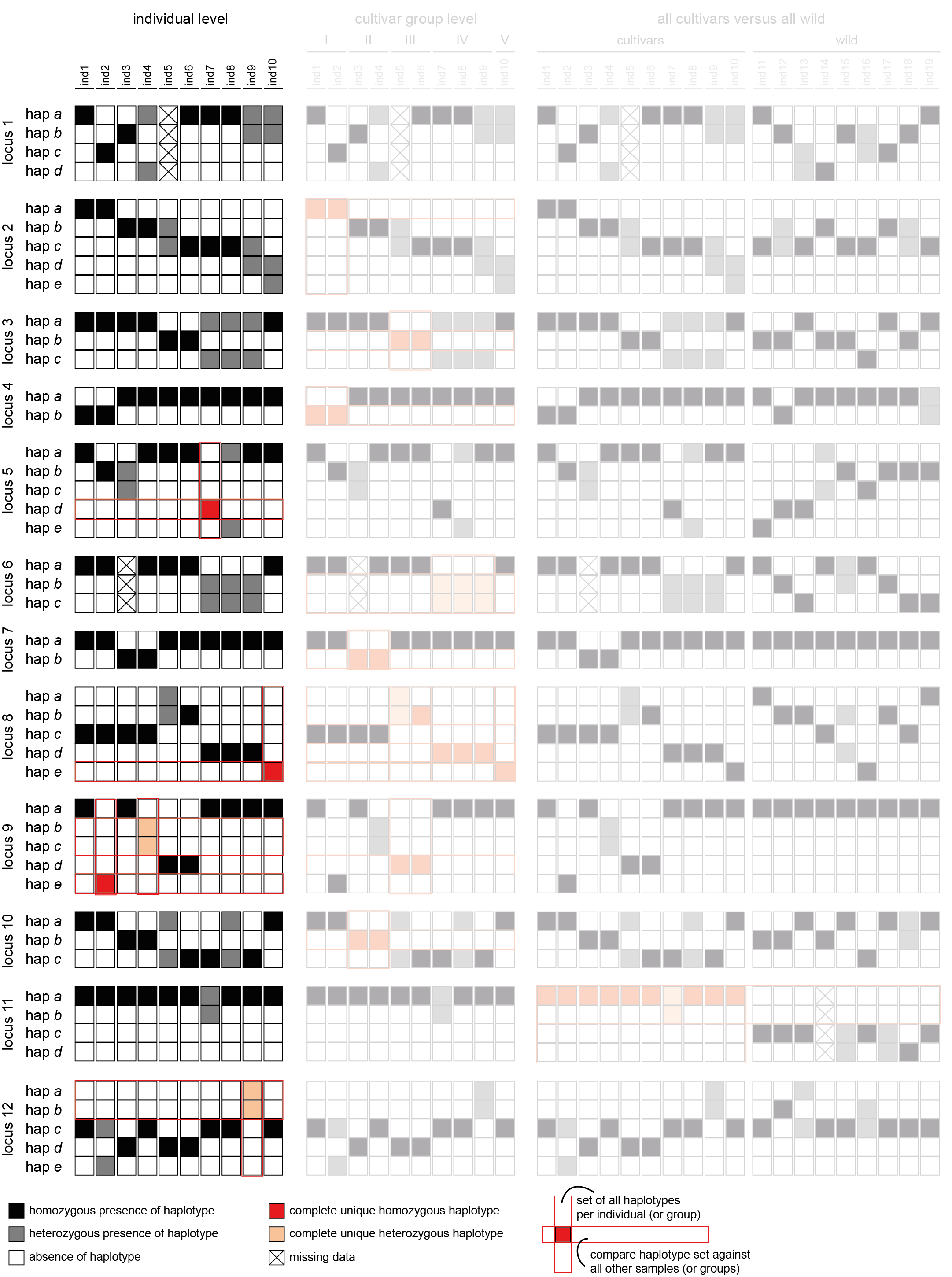 ../../_images/relatedness_haplotype_call_matrix_individuals.png