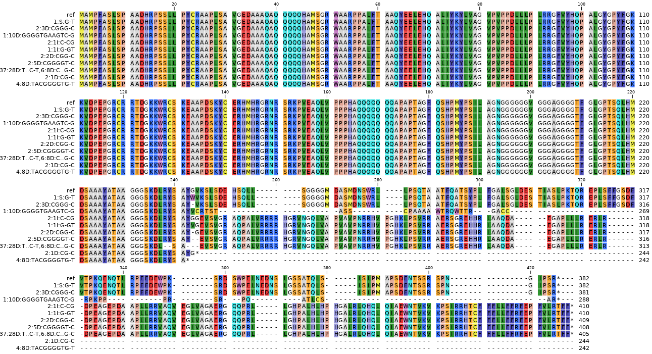 ../_images/Adjusted_ORF_haplotype_name_V4_translations_alignment.png