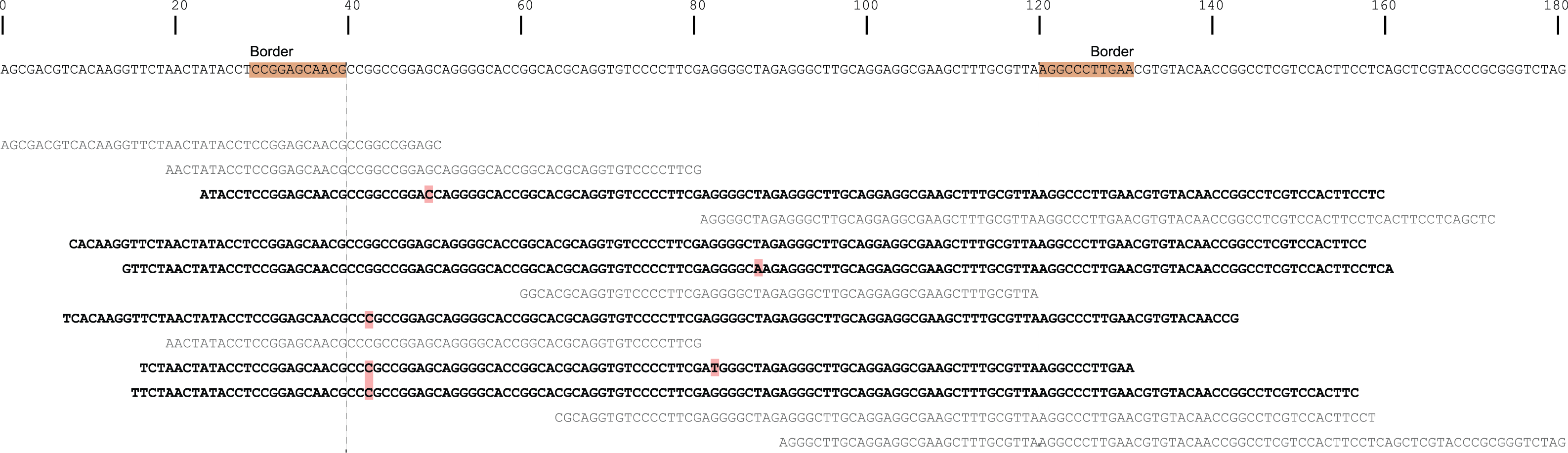 ../../../_images/Sample3_window_bam_SS.png