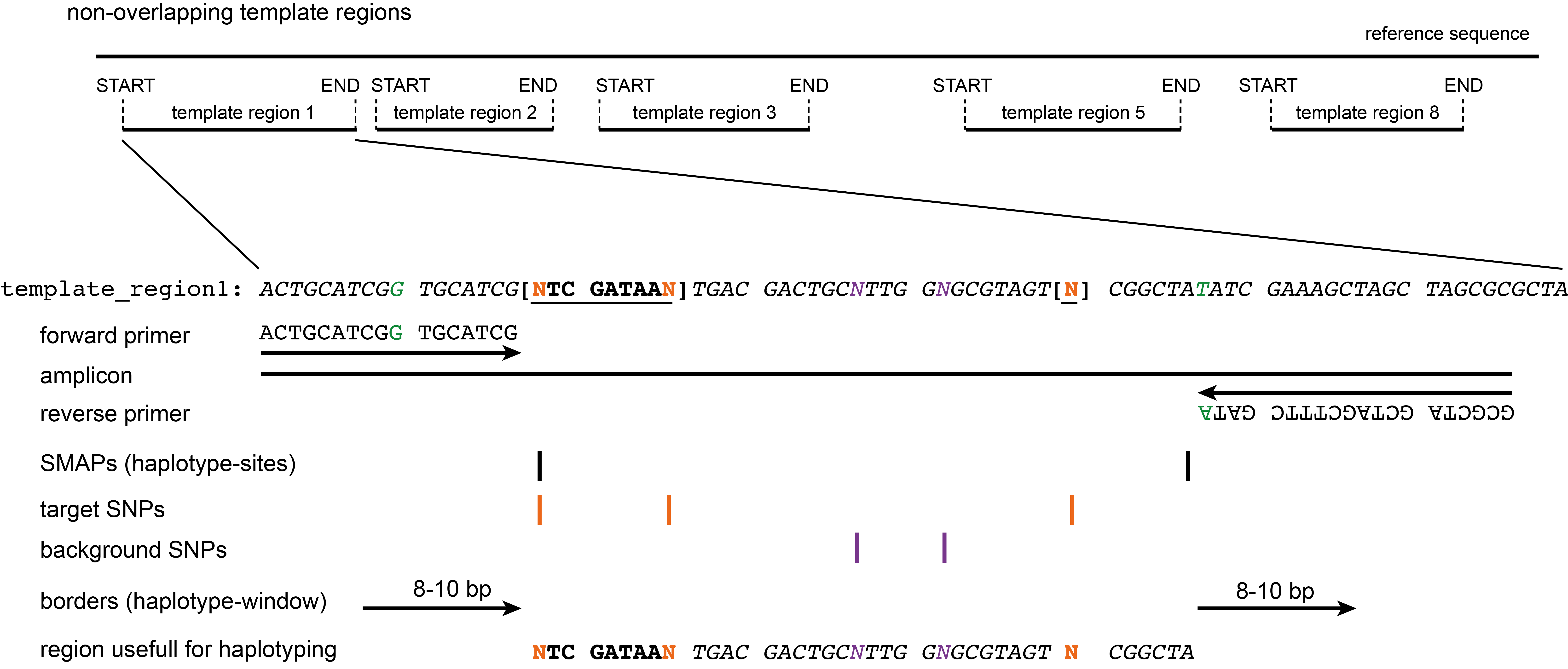 ../_images/amplicon_design.png