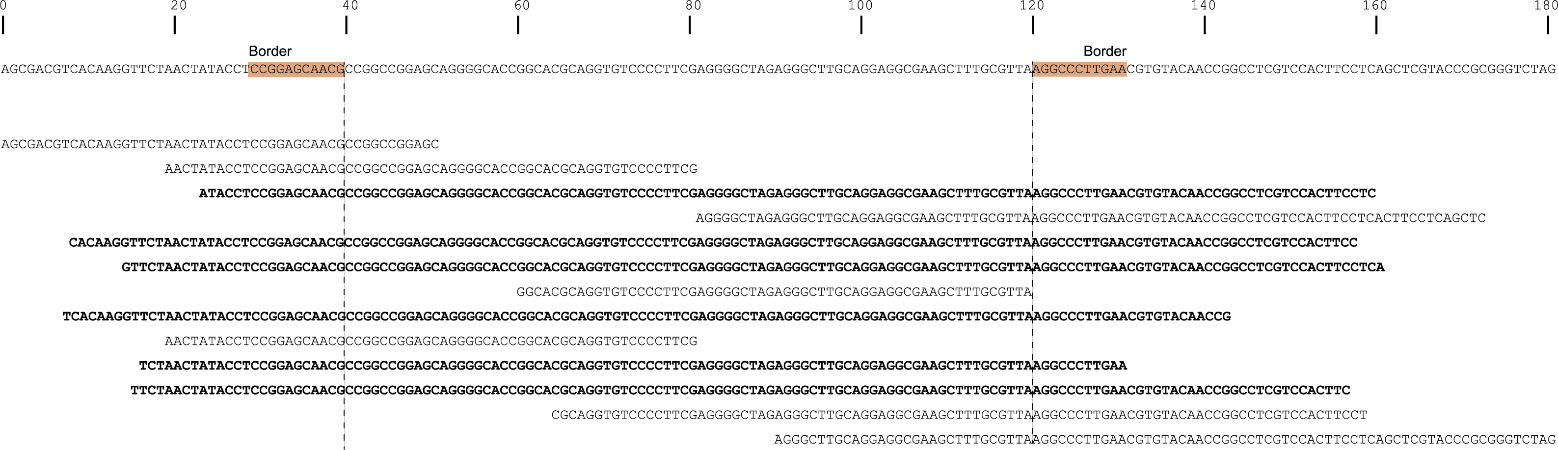 ../../../_images/haplotype_window_shotgun_window_size_80.png