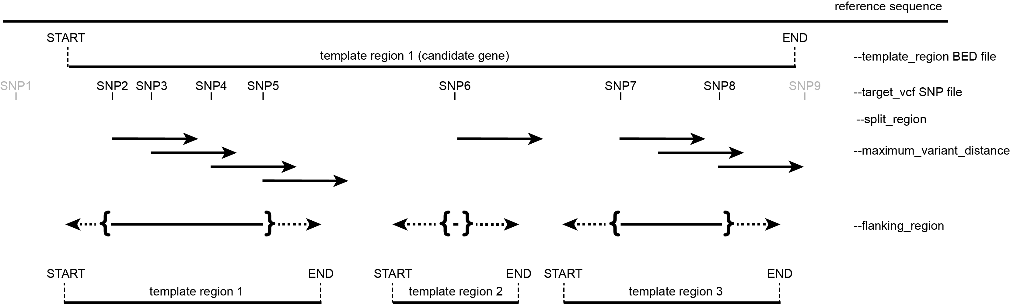 ../_images/split_template_regions.png