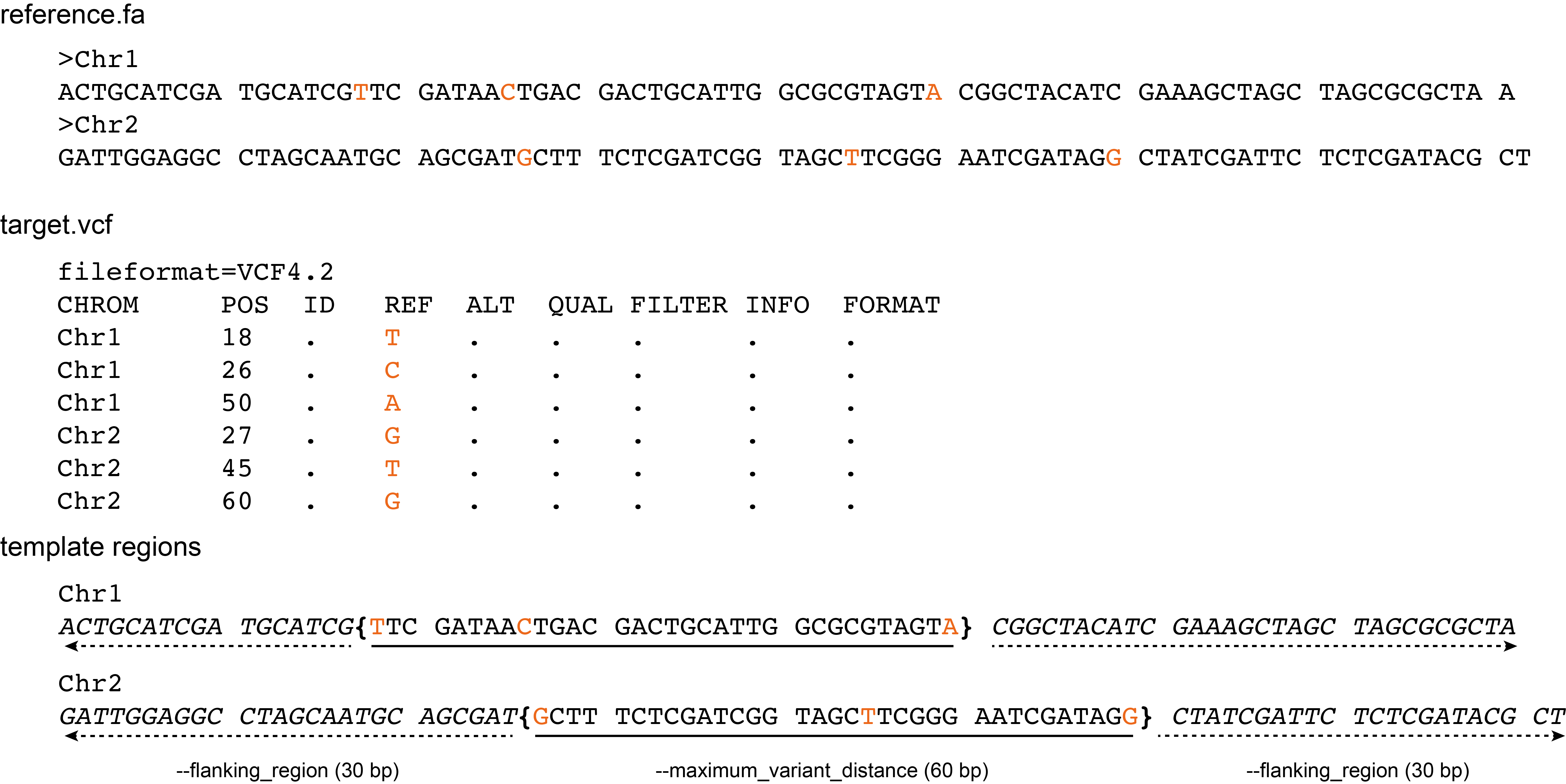 ../_images/template_region_target_vcf.png